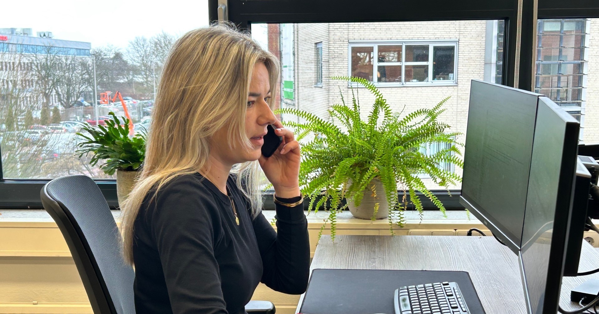 Collega CZB